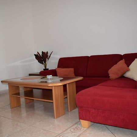 Pet Friendly Apartment Murvi 50 Novigrad Istria المظهر الخارجي الصورة