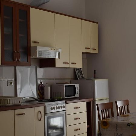 Pet Friendly Apartment Murvi 50 Novigrad Istria المظهر الخارجي الصورة