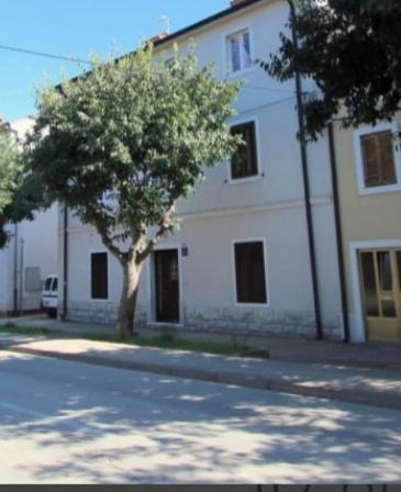 Pet Friendly Apartment Murvi 50 Novigrad Istria المظهر الخارجي الصورة
